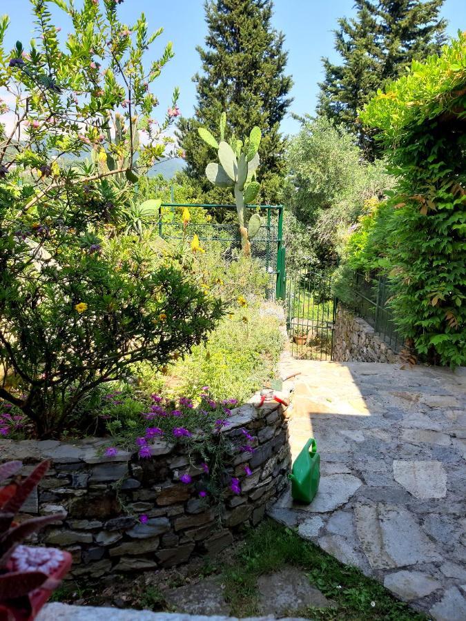 Vila L'Antico Frantoio Rapallo Exteriér fotografie